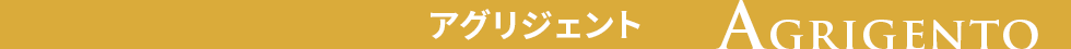 アグリジェントの見どころ