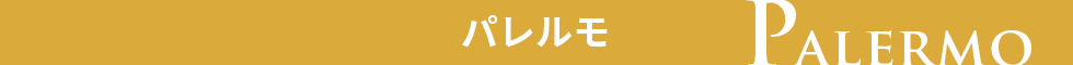 見どころ