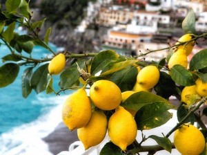 Limoni-Amalfi_Coast_