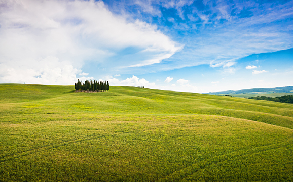 orcia