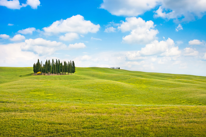 Beautiful landscape in Tuscany, Italy